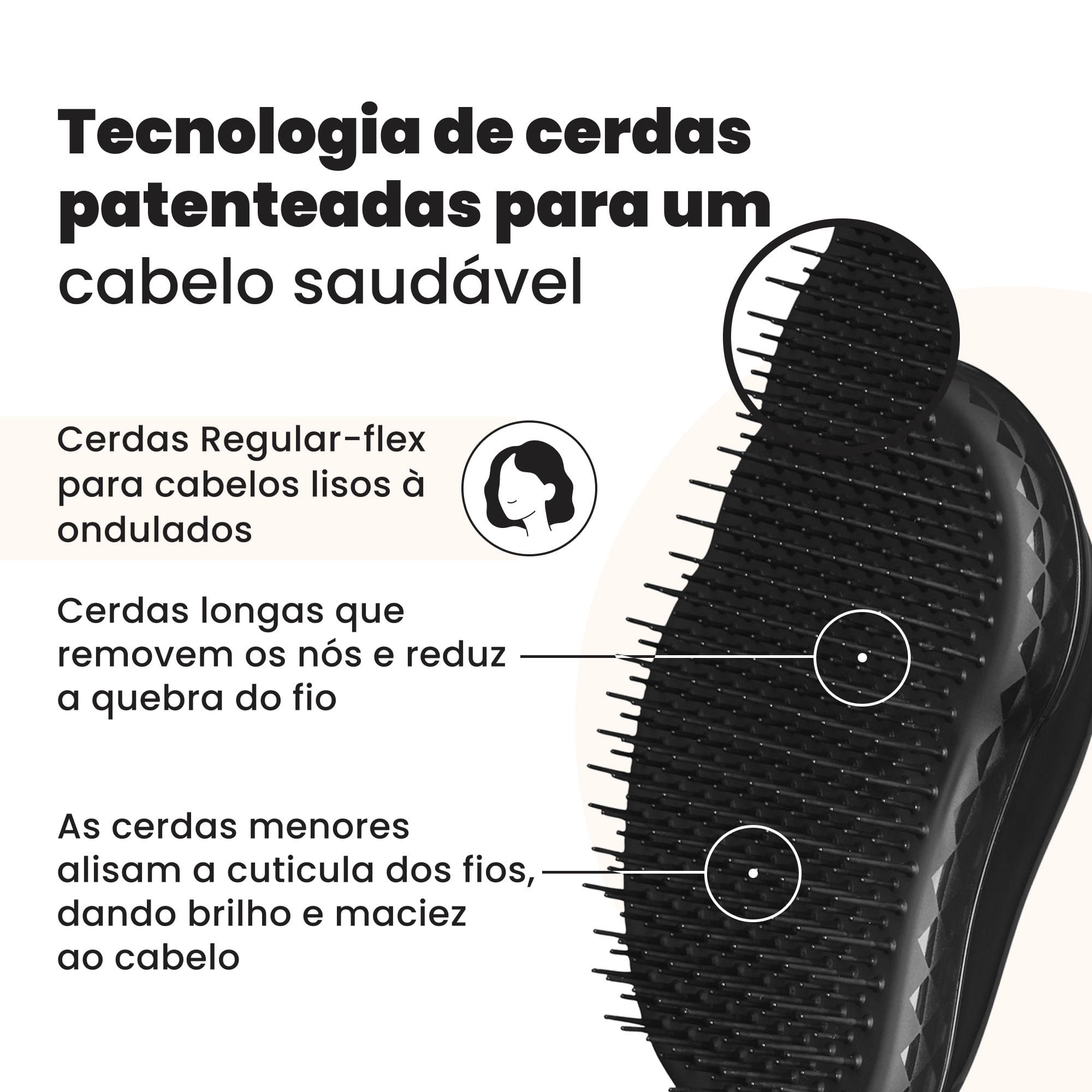 A escova que começou tudo