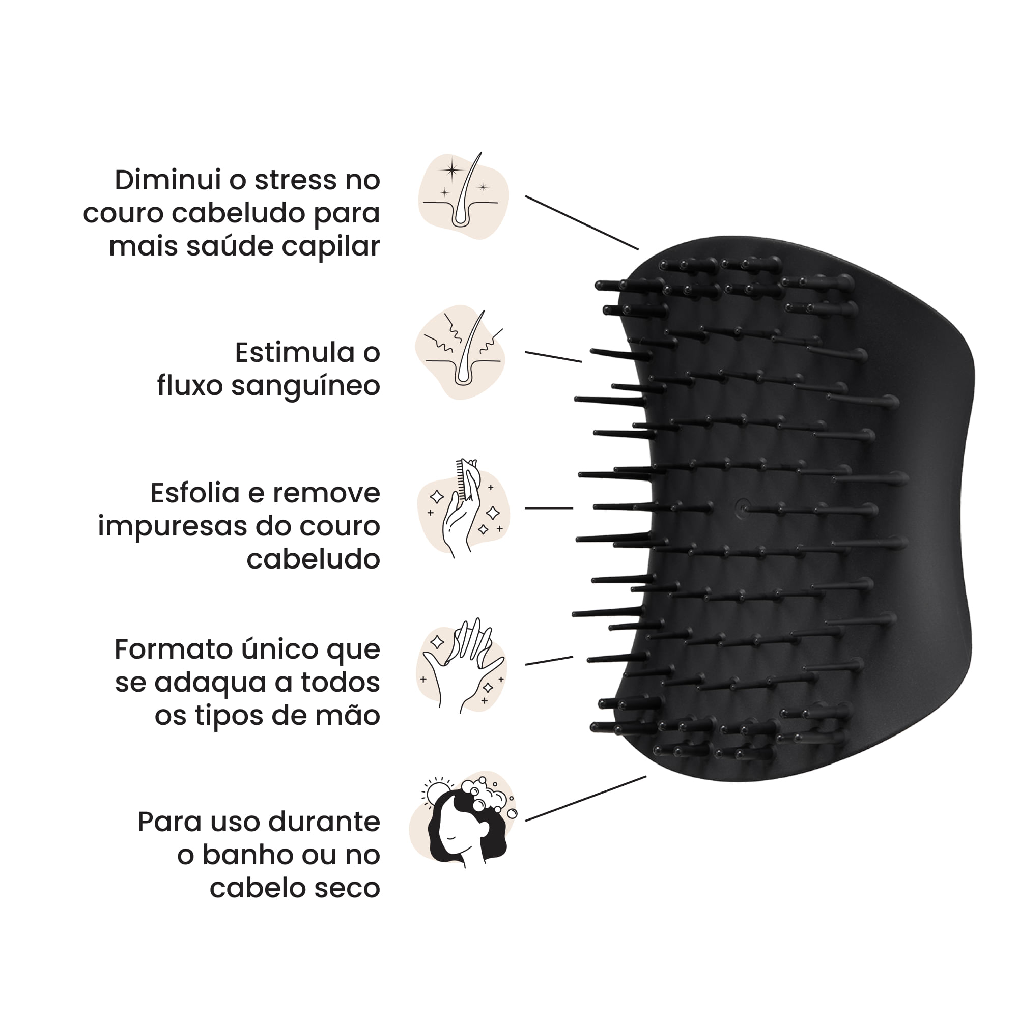 Recomendada por especialistas